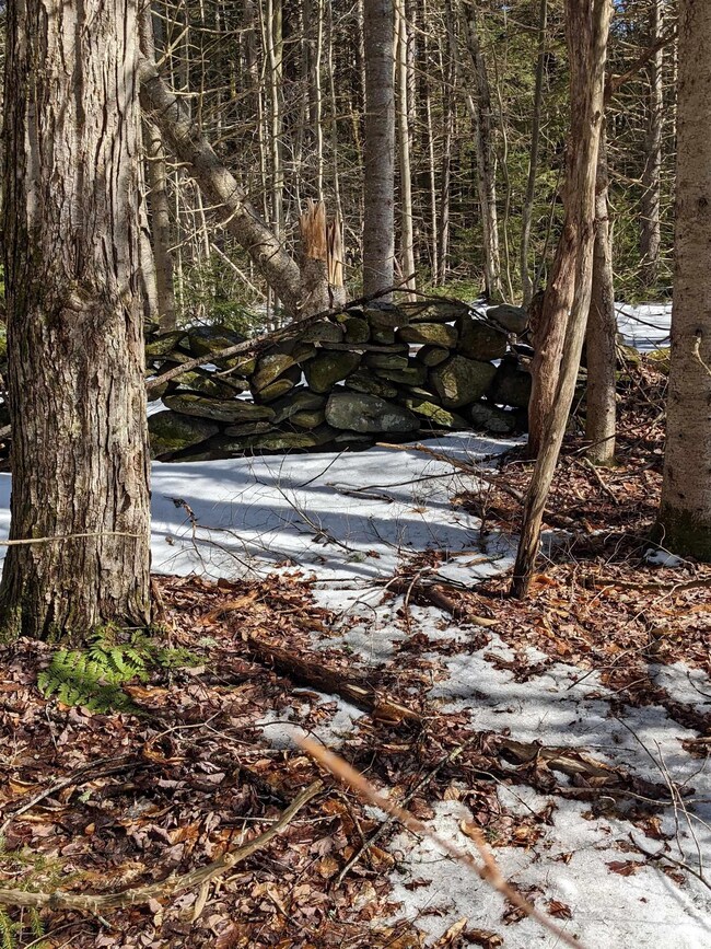 00 Minor Rd, Wilmington, VT 05363 - photo 4