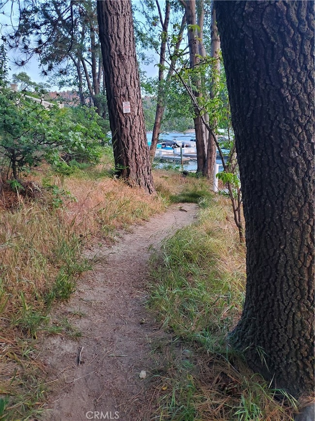 0 Mbm 2 Slip 18 Dr unit IG25263239, Lake Arrowhead, CA 92352 - photo 4