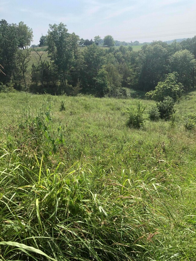 5 Chowning Ln, Bloomfield, KY 40008 - photo 2