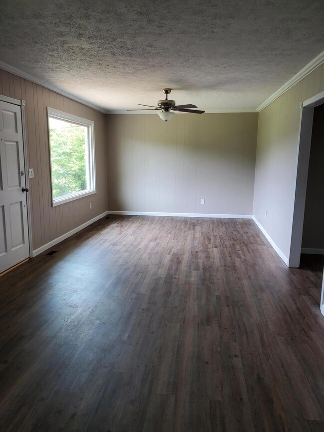 153 Warren St, Fall Branch, TN 37656 - photo 5