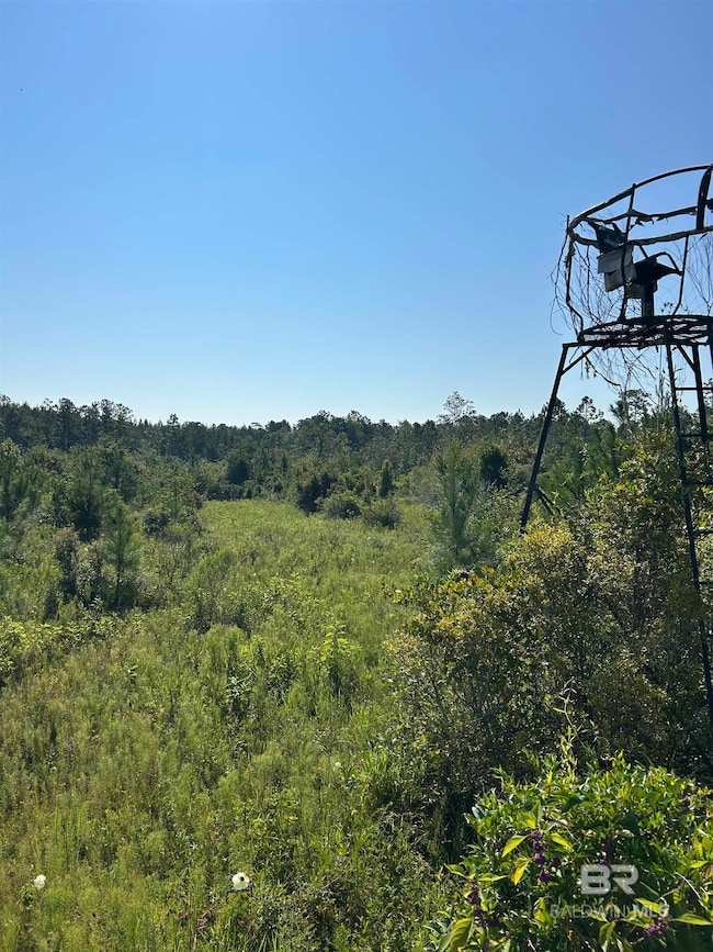 24300 Highway 41, Brewton, AL 36426 - photo 2