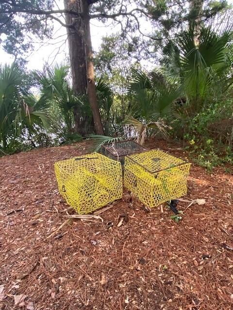 195 Village Dr, St. Simons, GA 31522 - photo 6