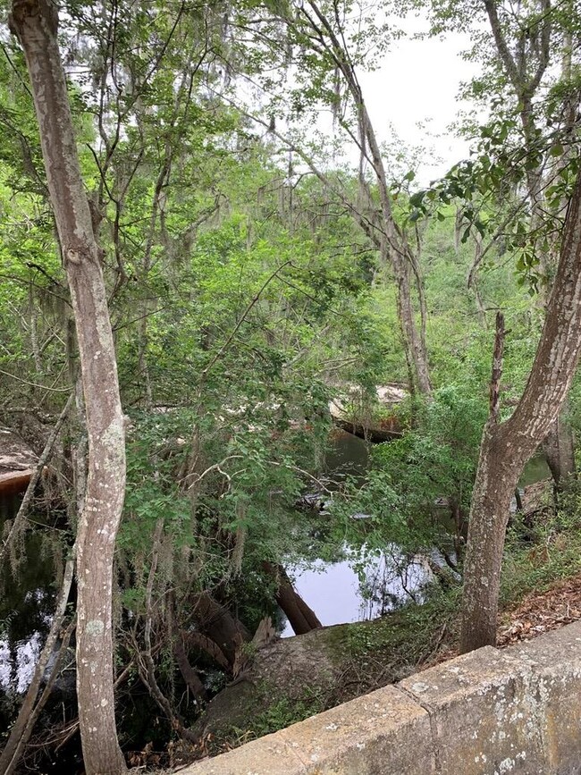 8448 Raulerson Rd, Patterson, GA 31557 - photo 5