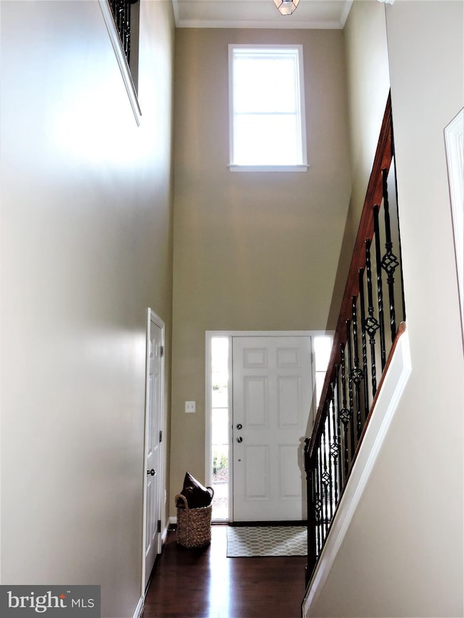 25061 Green Mountain Terrace, Aldie, VA 20105 - photo 7