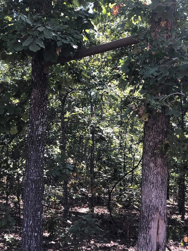 20.17 AC Rainbow Valley Trail, Mammoth Spring, AR 72554 - photo 7