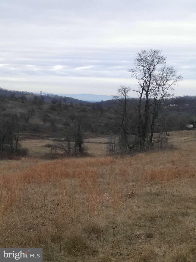 0 Pickrell Dr unit 1003346412, Front Royal, VA 22630 - photo 3