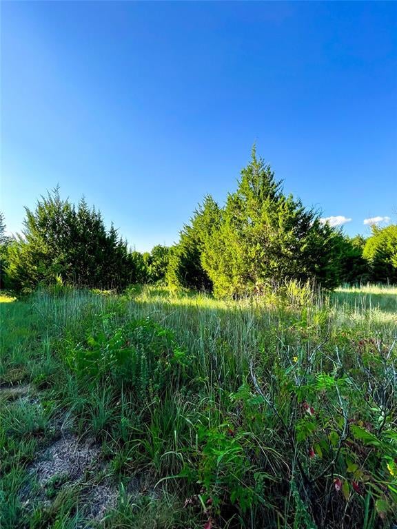 0 297th St unit 1185617, Blanchard, OK 73010 - photo 7