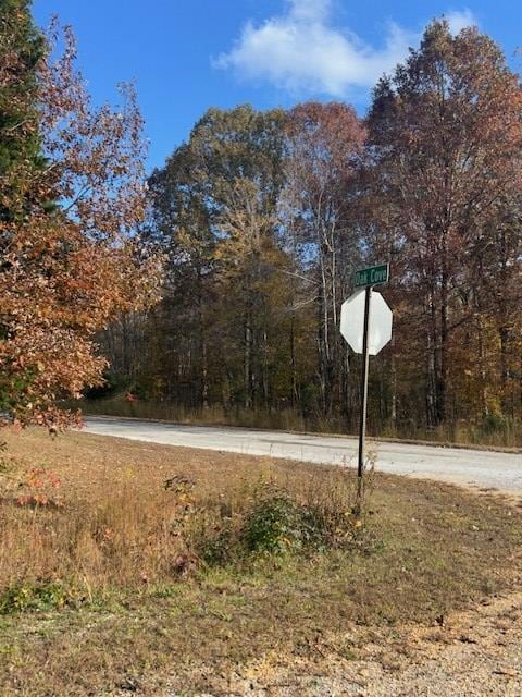 0 Oak Creek Dr, Big Sandy, TN 38221 - photo 3