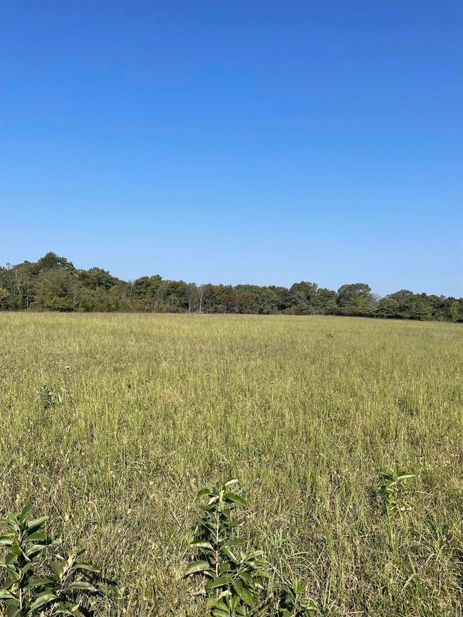 0 Shady Grove Rd unit 25037910, Leslie, AR 72645 - photo 3