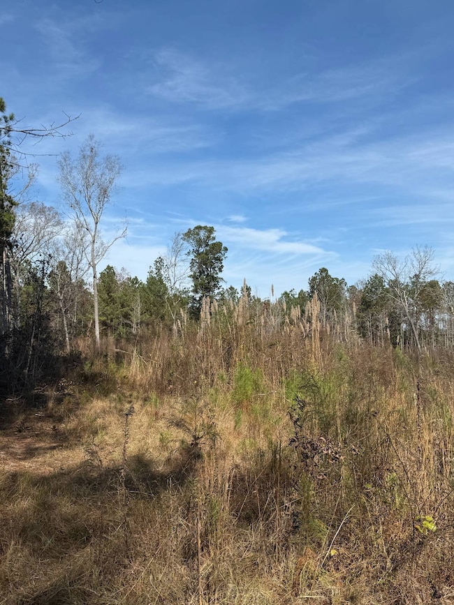 3160 Rd, Preston, MS 39354 - photo 4