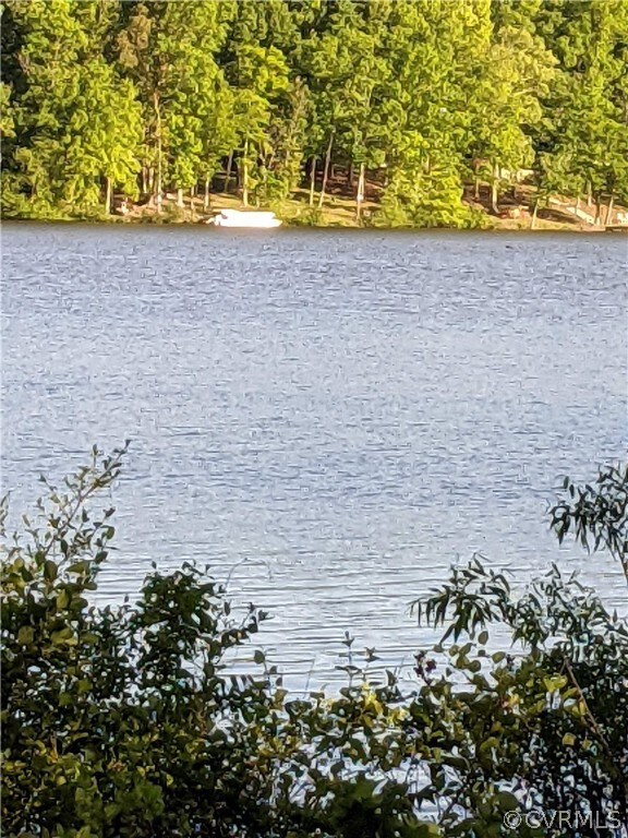 15451 Genito Rd, Chesterfield, VA 23112 - photo 6