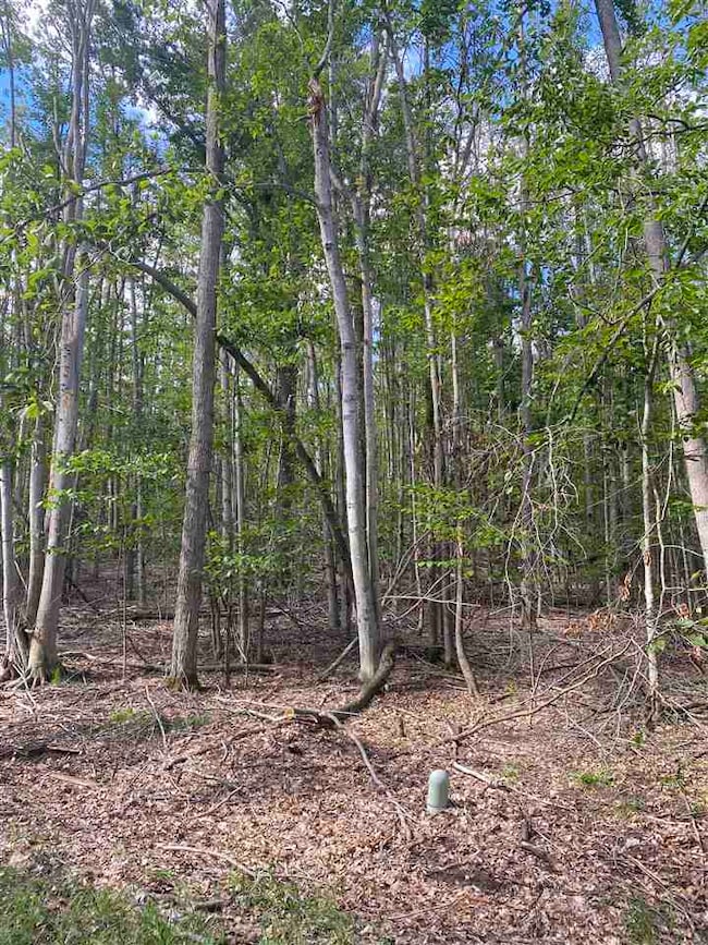 Lots 156 & 157 Humming Bird Ct unit 156 & 157, Otsego Lake Township, MI 49735 - photo 2