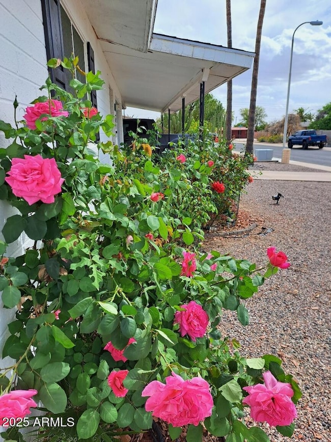 639 N 57th Place, Mesa, AZ 85205 - photo 5