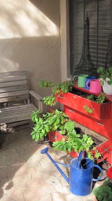 Sitting Area, drip system to pots