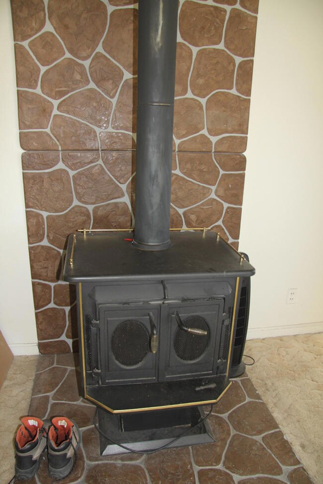 Living Rm Stove