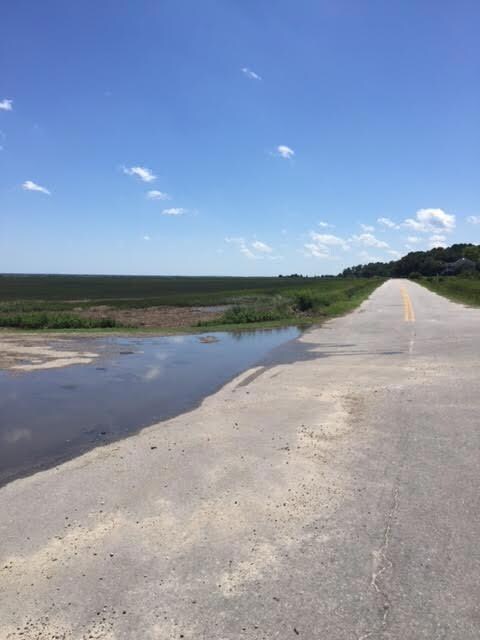 Seafood Road Neighborhood 2