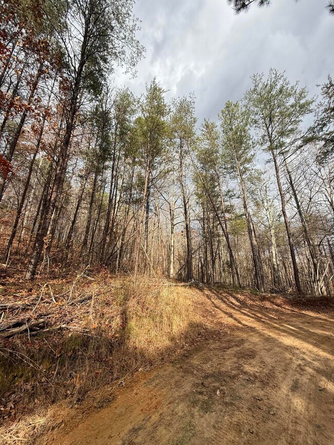 Lot 2 Parksville Rd, Benton, TN 37307 - photo 5