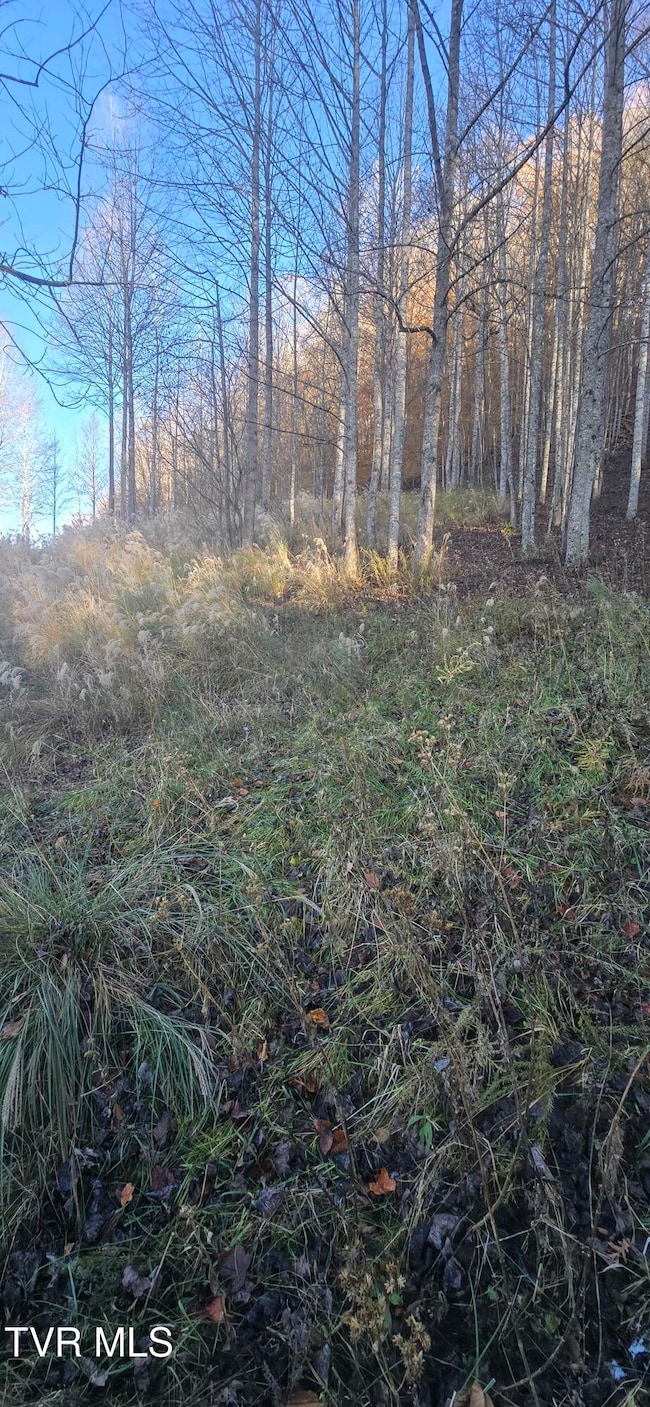 2351 Line Rd, Eidson, TN 37731 - photo 7