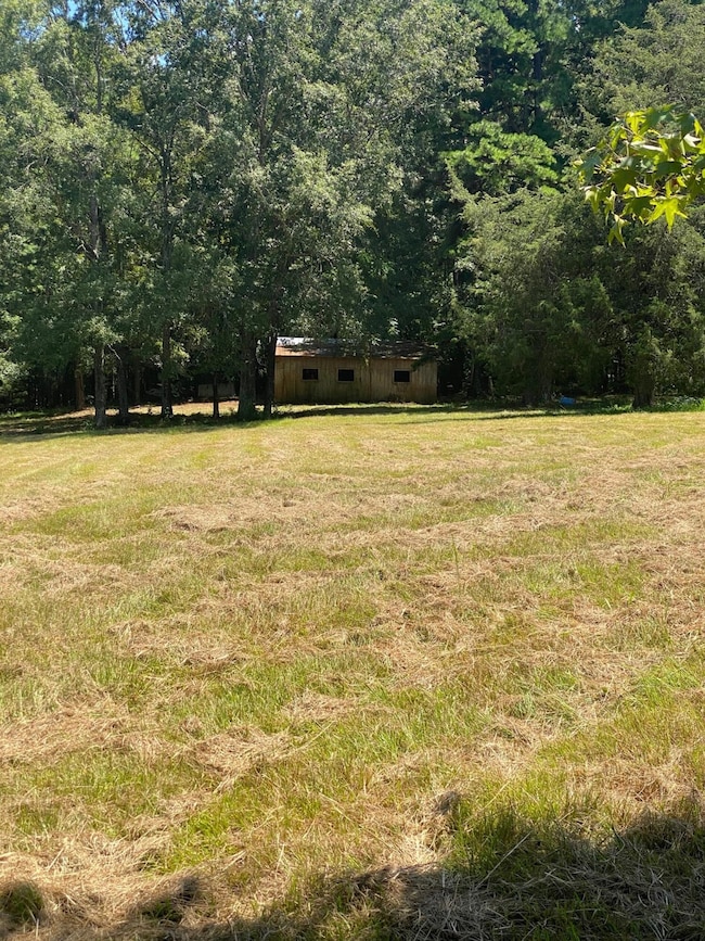 pic 5