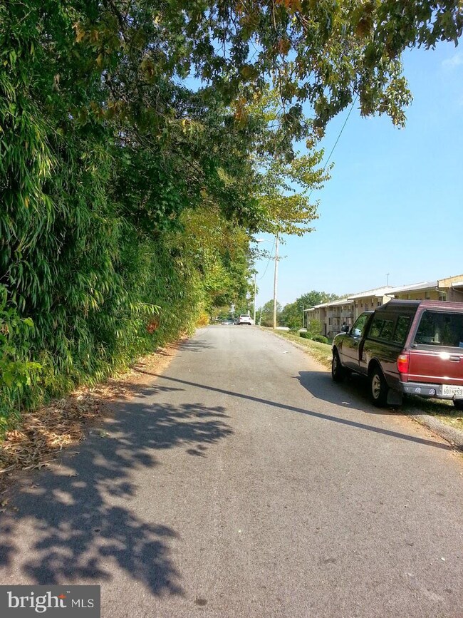 4810 Bayonne Ave, Baltimore, MD 21206 - photo 4