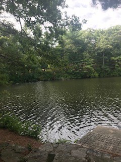 7 Memory Ln, Johnston, RI 02919 - photo 5