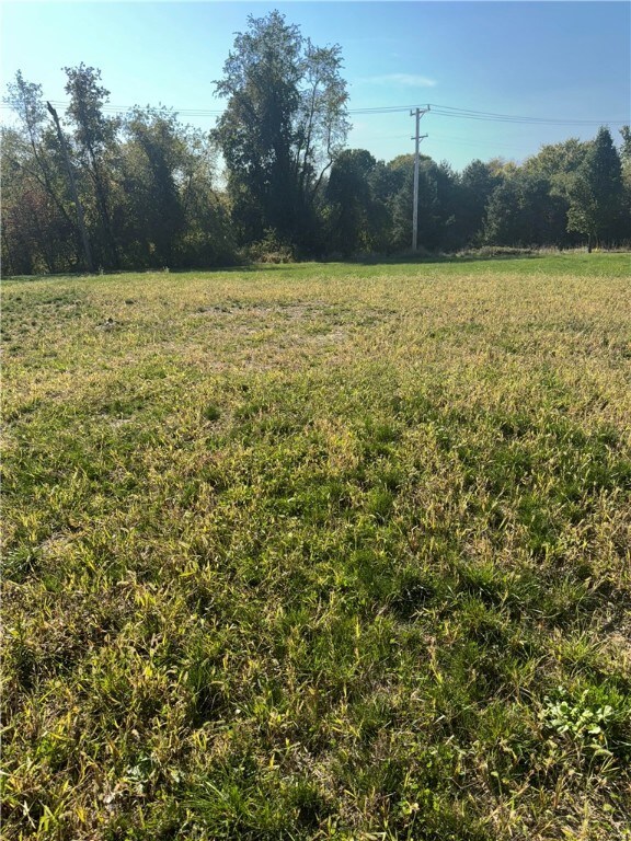 Cleared vacant lot