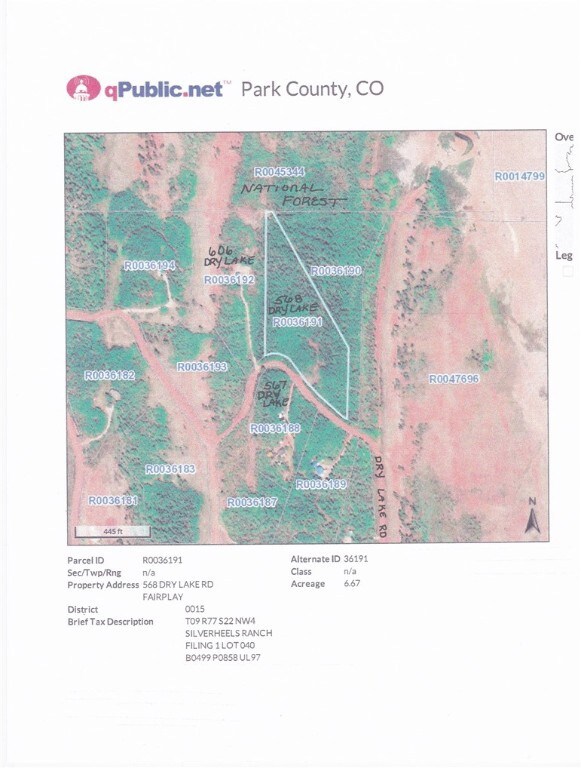 568 Dry Lake Rd, Fairplay, CO 80440 - photo 4