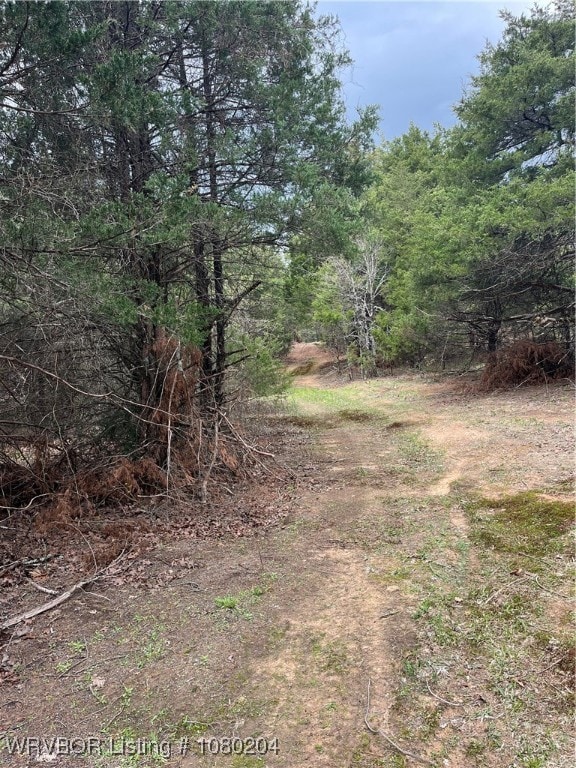 Tract 3 Station Rd, Bokoshe, OK 74930 - photo 3