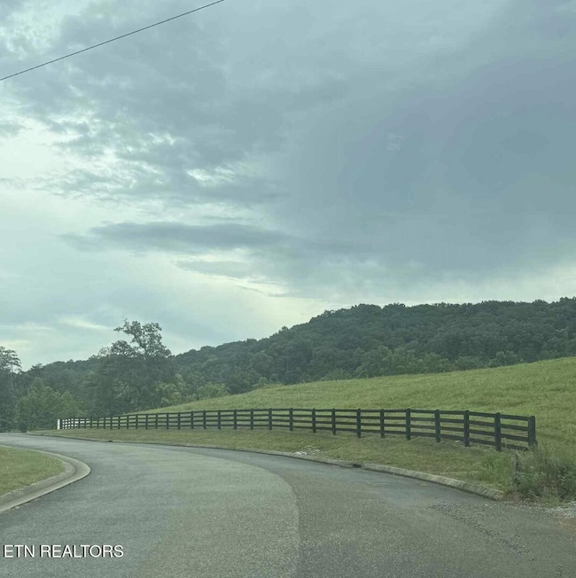 103 Cherry Oak Dr, Oak Ridge, TN 37830 - photo 4