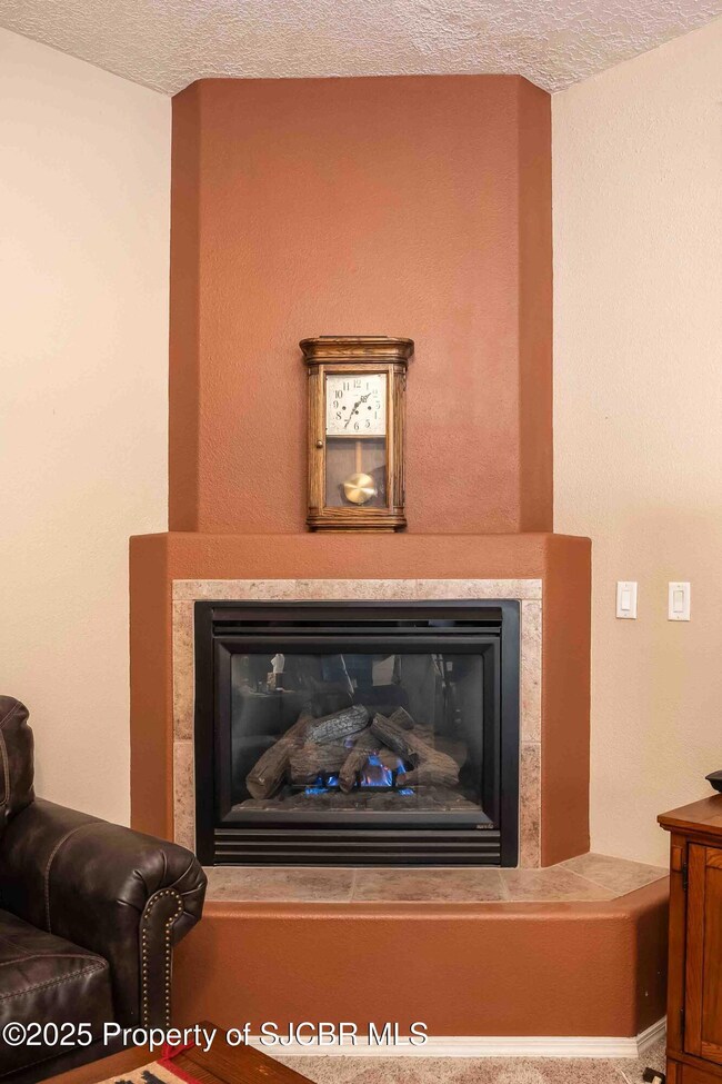 1012 Valley View Dr, Bloomfield, NM 87413 - photo 5