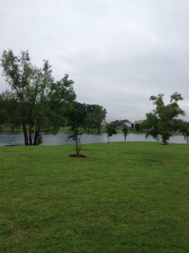 Neighborhood Lake