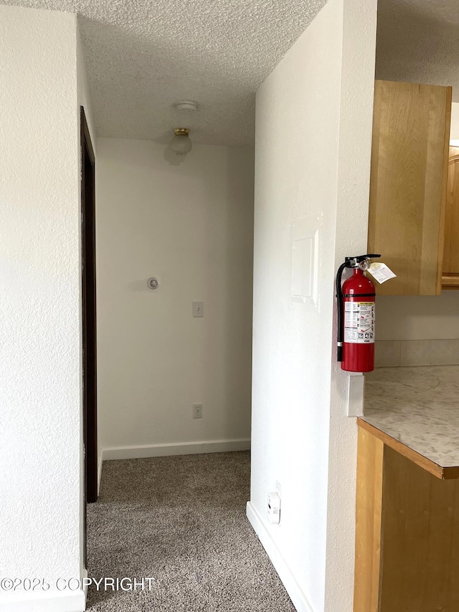 3400 Eureka St unit 303, Anchorage, AK 99503 - photo 4