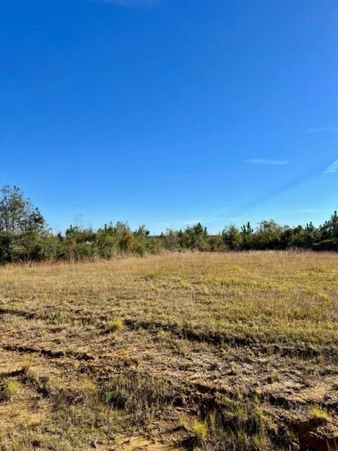 0 Rea Rd Tract 7 unit 26-3998, Deridder, LA 70634 - photo 2