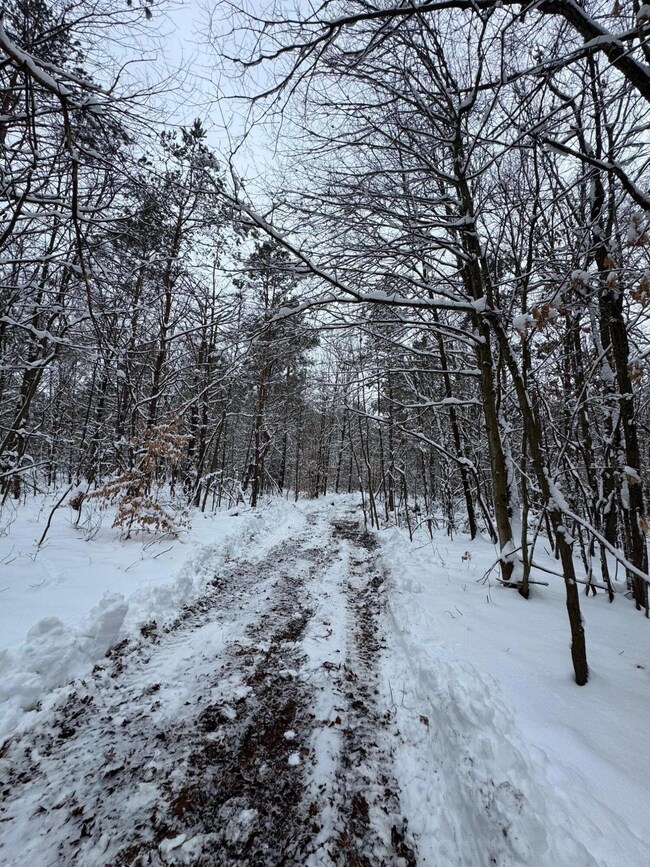 Beautiful wooded property