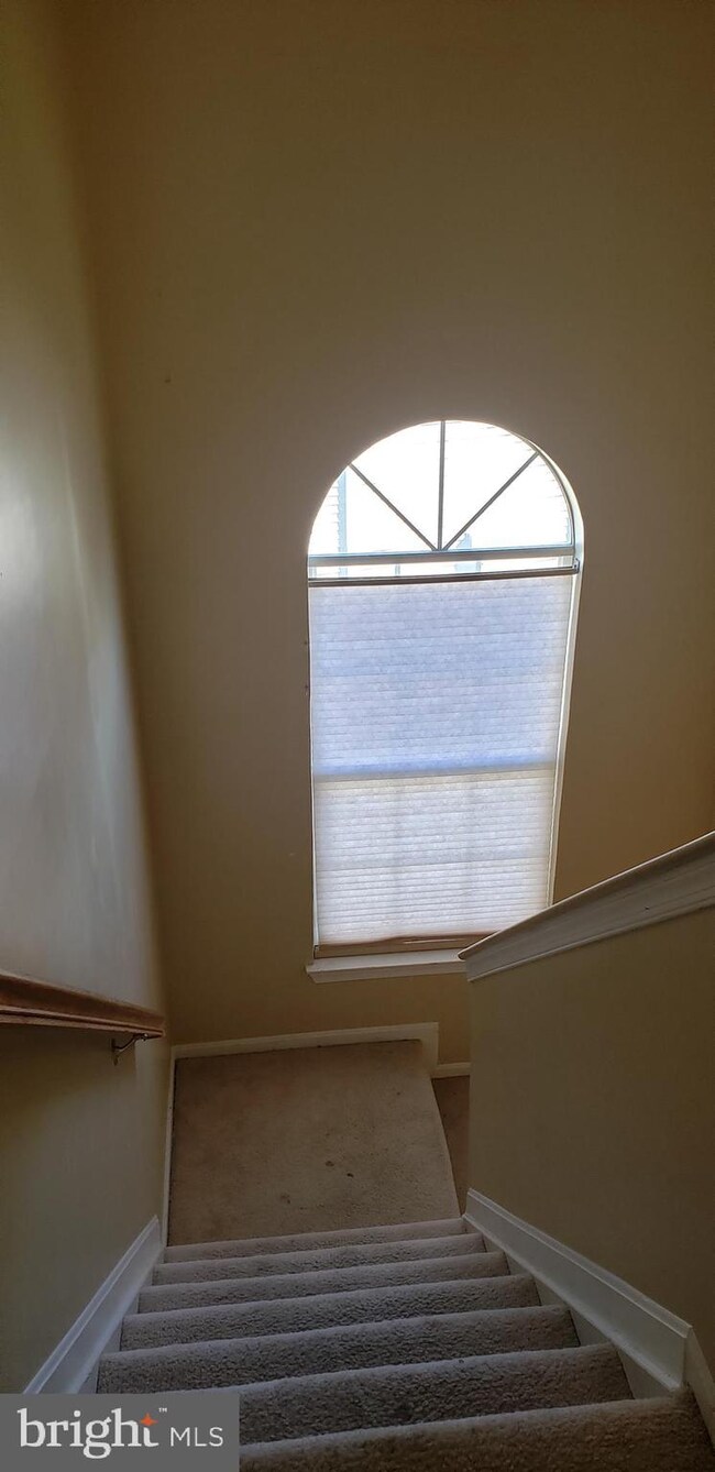 8402 Branchwood Cir, Clinton, MD 20735 - photo 6