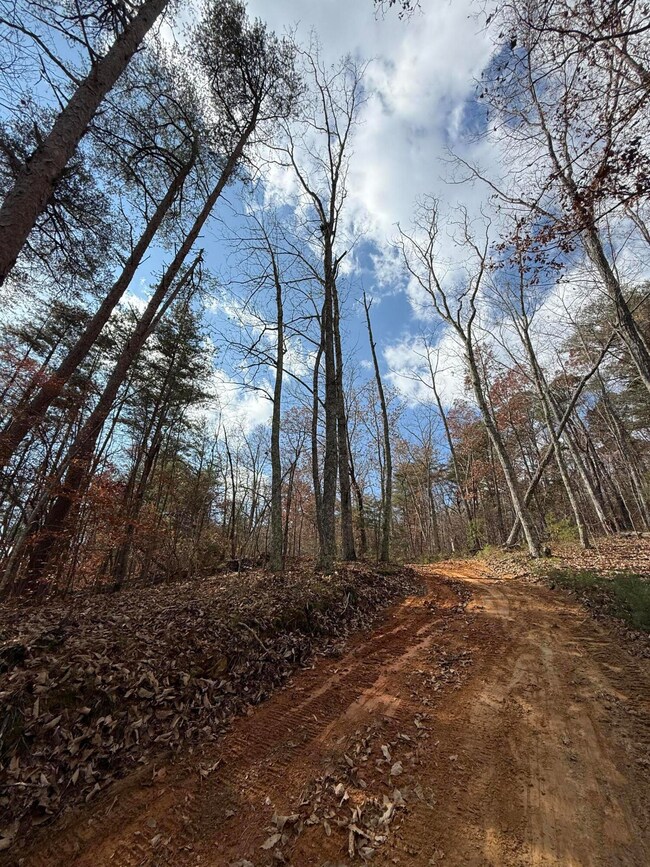Lot 1 Parksville Rd, Benton, TN 37307 - photo 4