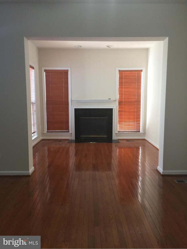 25112 Pennywort Terrace, Stone Ridge, VA 20105 - photo 4