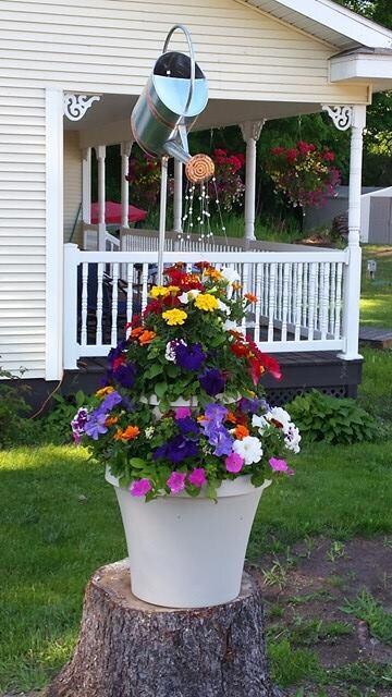 Front lawn