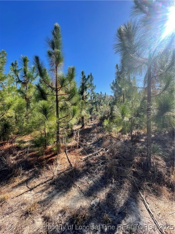 7399 Burney Rd, White Oak, NC 28399 - photo 7