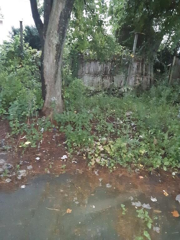 846 Broadway unit 5, Saugus, MA 01906 - photo 5