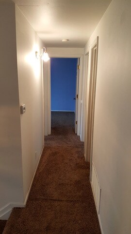 79 Alameda Dr, Carpentersville, IL 60110 - photo 5