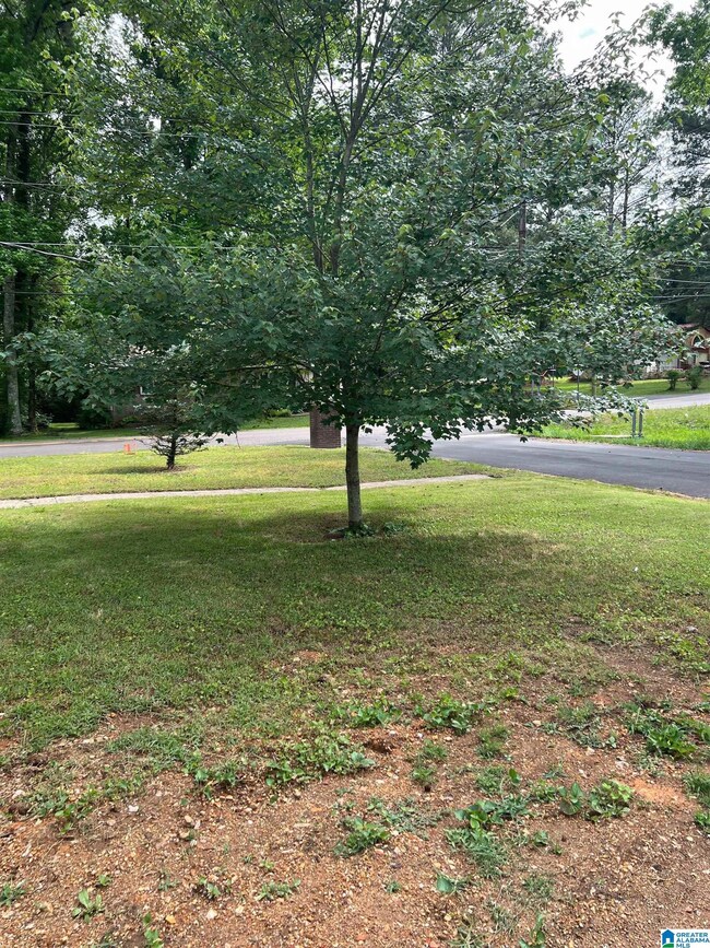 2301 3rd Way NE, Center Point, AL 35215 - photo 4