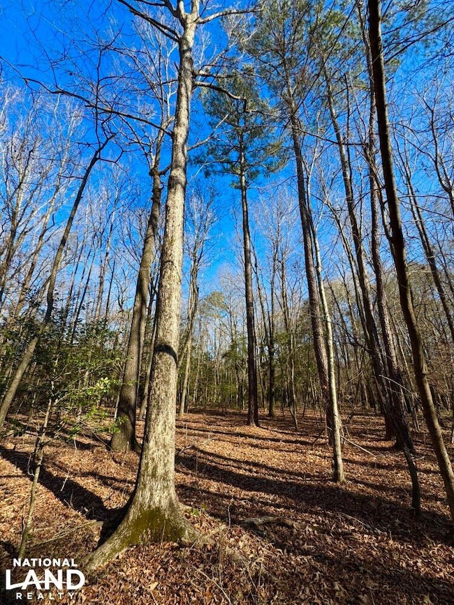 0 S Fred Cir, Kenly, NC 27542 - photo 3