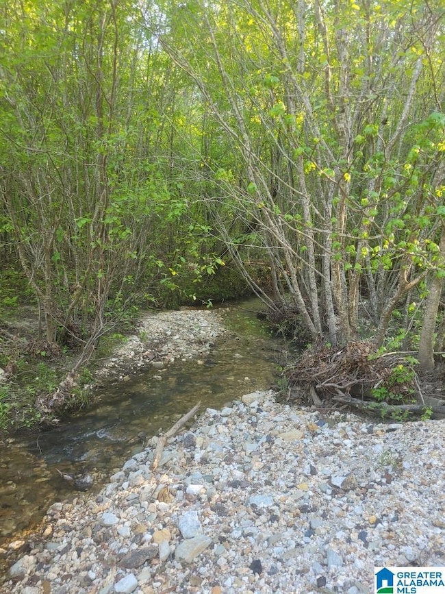 755 Pine Ridge Rd, Sylacauga, AL 35151 - photo 4