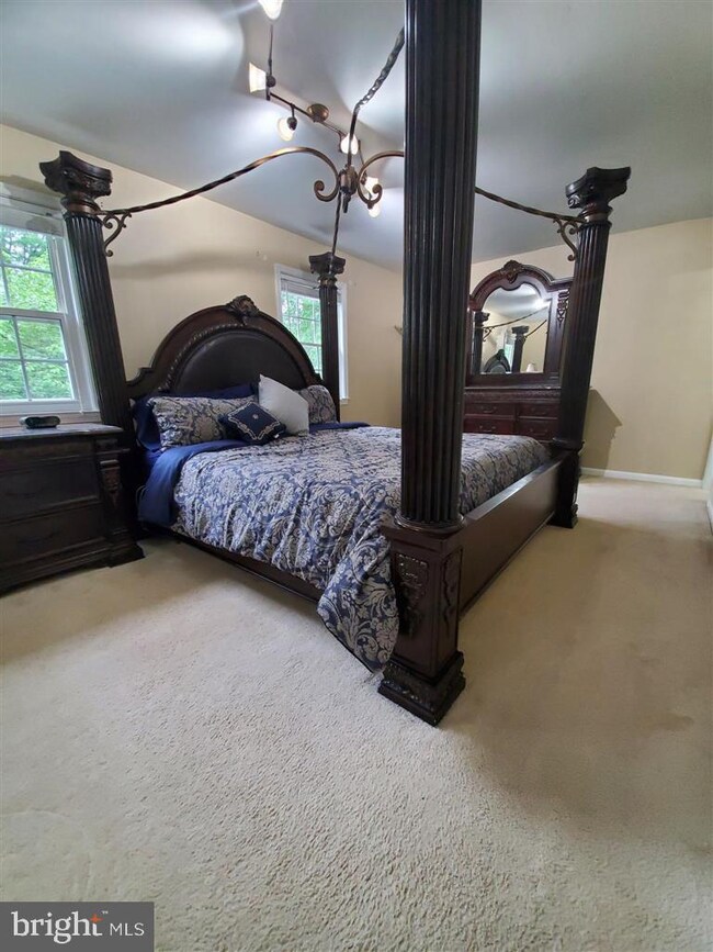 6108 Old Landing Way unit 65, Burke, VA 22015 - photo 6