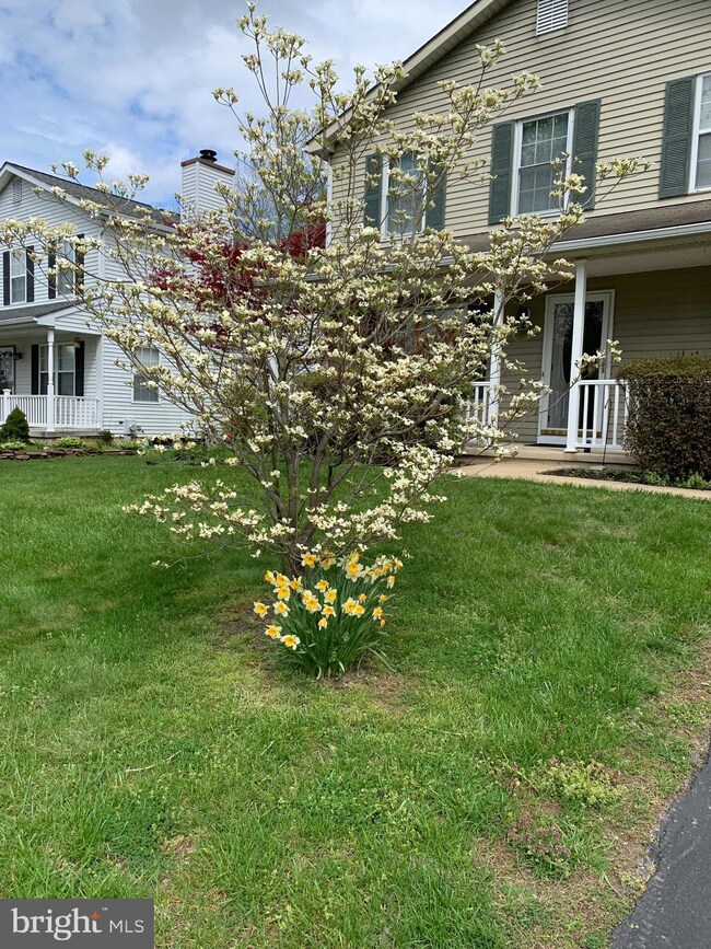 321 Nicholas Ct, Wilmington, DE 19808 - photo 5