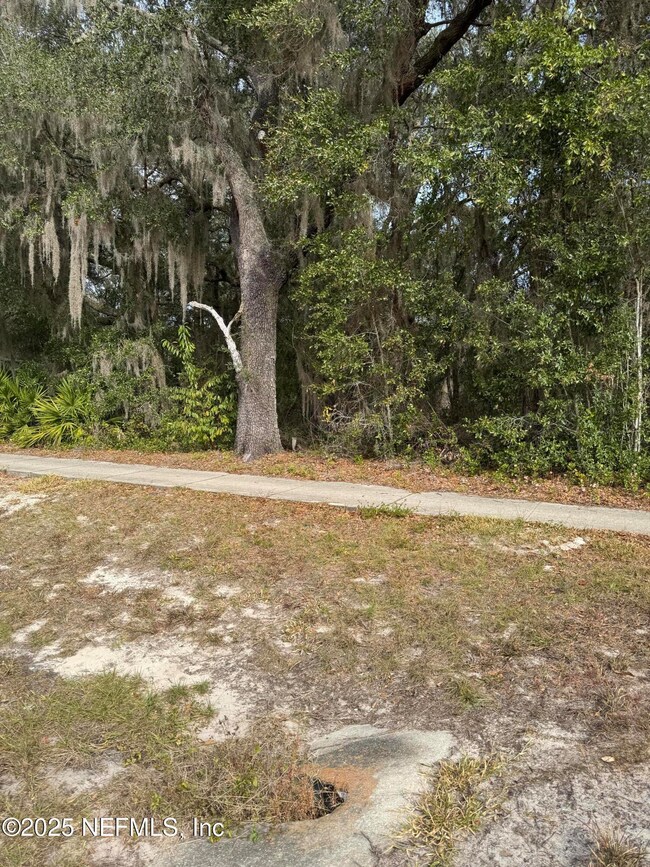 1682 U S 17, Pomona Park, FL 32181 - photo 3