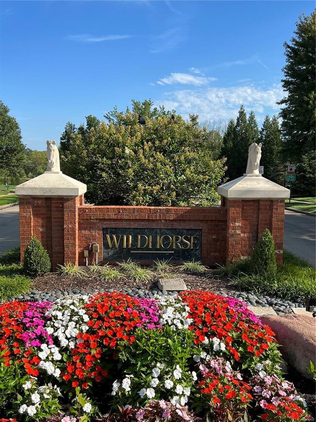 Welcome to WILDHORSE