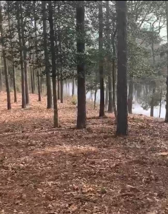 LOT 29 Olde Mill Ln unit 29, New Church, VA 23415 - photo 4