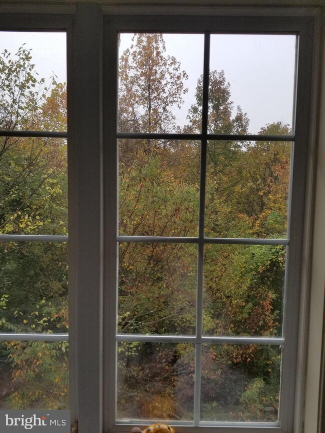 6016 Mill Cove Ct, Burke, VA 22015 - photo 7